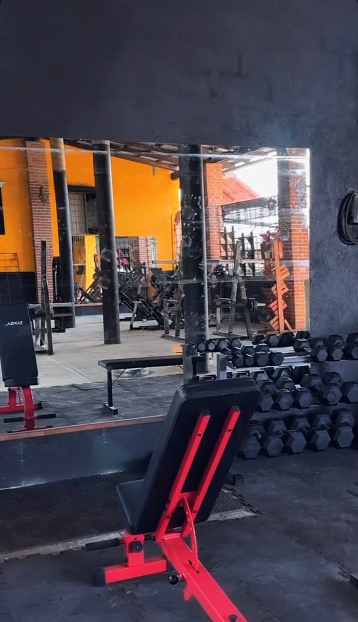 Entrenamiento personalizado